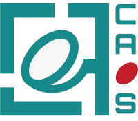CAOS laboratory visual identity